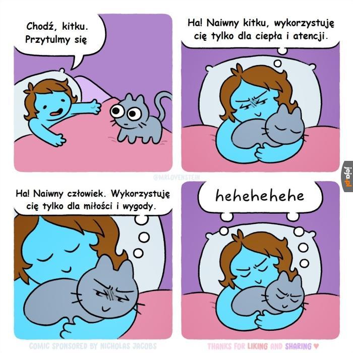Doskonała symbioza, idealna harmonia, wzorowy ład