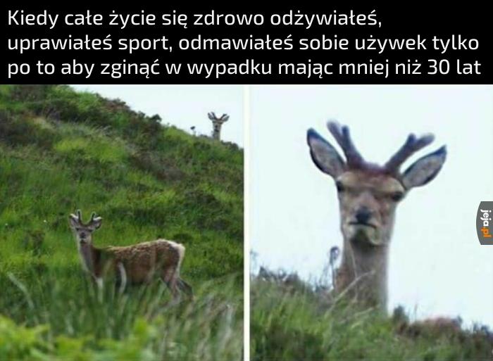 Mam nadzieję, że nrel