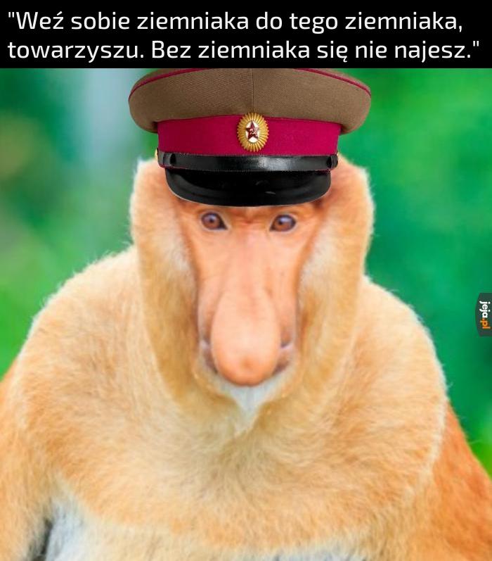 I tak się nie naje