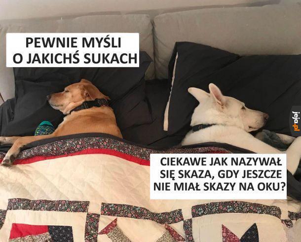 A Ty o czym myślisz?