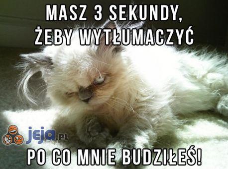 Masz 3 sekundy...