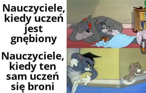 Niestety