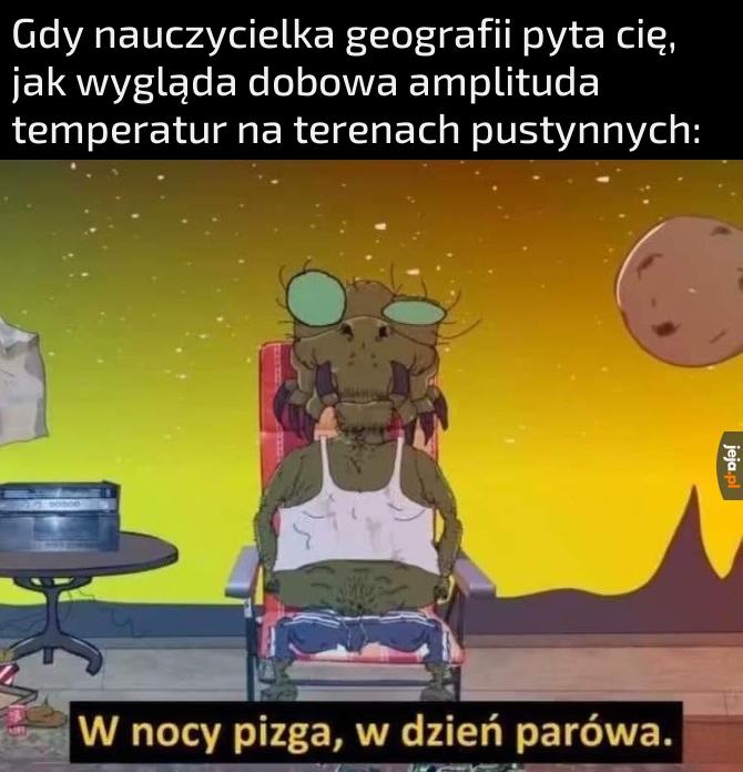 Trafny opis