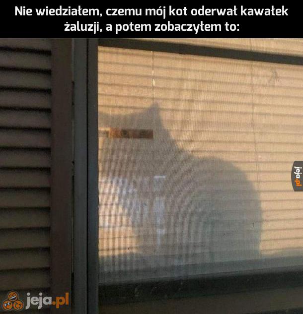 Ale agent