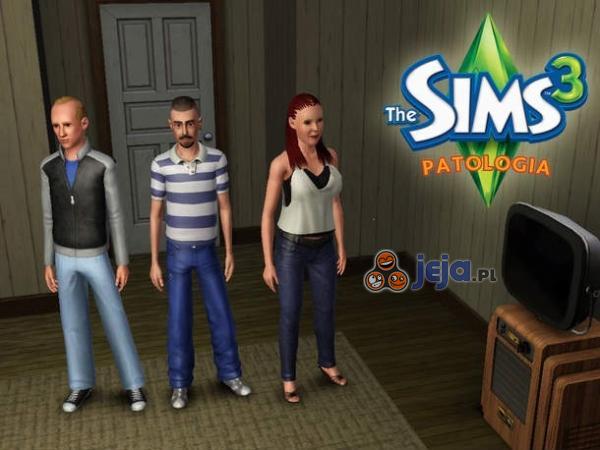 Nowy dodatek do Sims 3