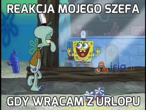 Reakcja mojego szefa