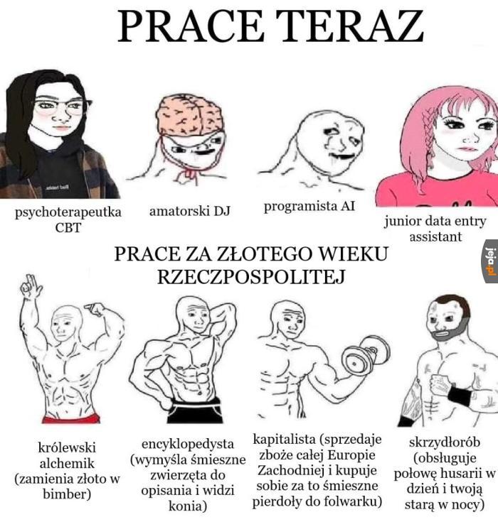 Koń jaki jest każdy widzi