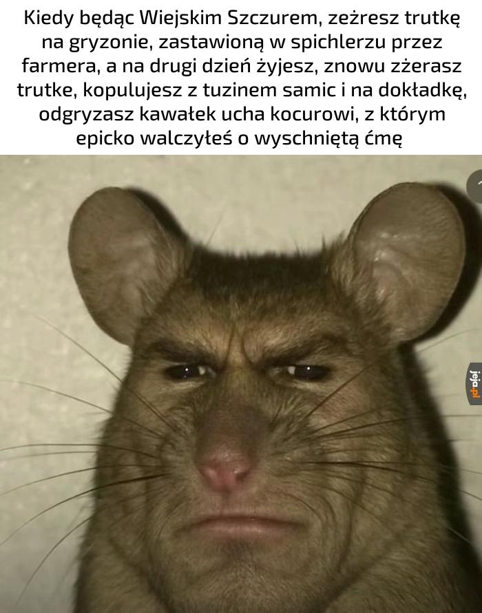 Jj