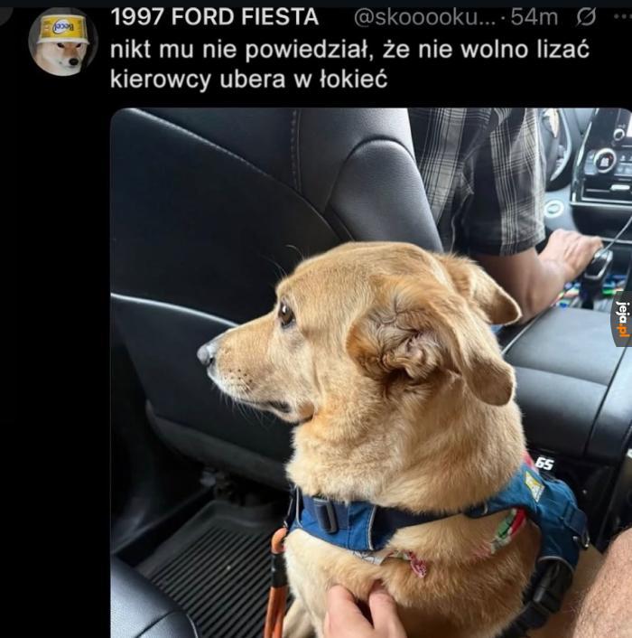 Ale jak to nie