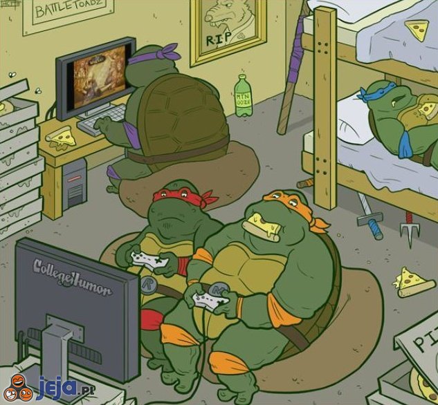 Żółwie ninja na studiach