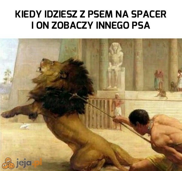 Stary, ogarnij się!