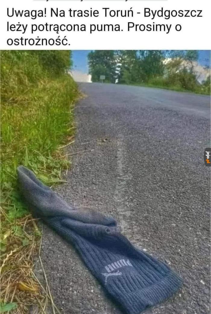 No no puma jak ta lala