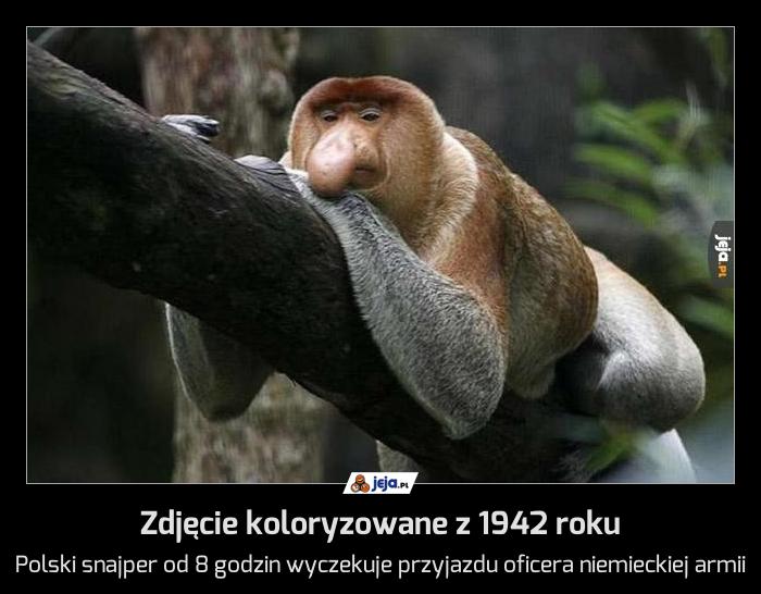 Zdjęcie koloryzowane z 1942 roku