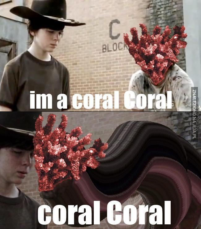 Koral Coral