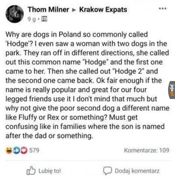 Hodge Two Tea Who You Yeah Bunny