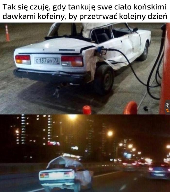 W mych żyłach płynie kawa