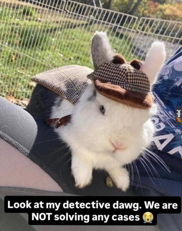 Najlepszy detektyw