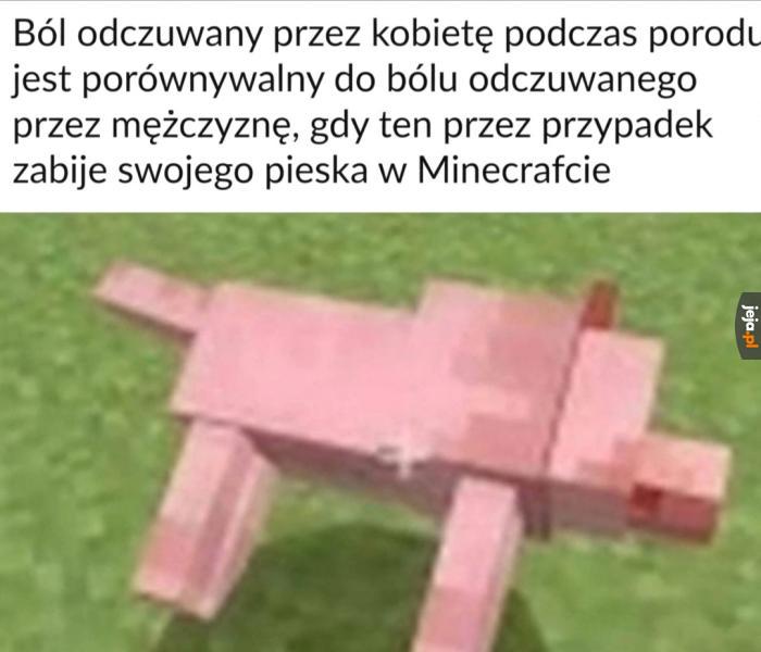 Ból i trauma