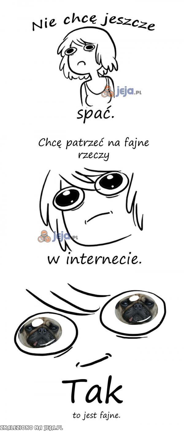 Na co komu sen, skoro jest internet?