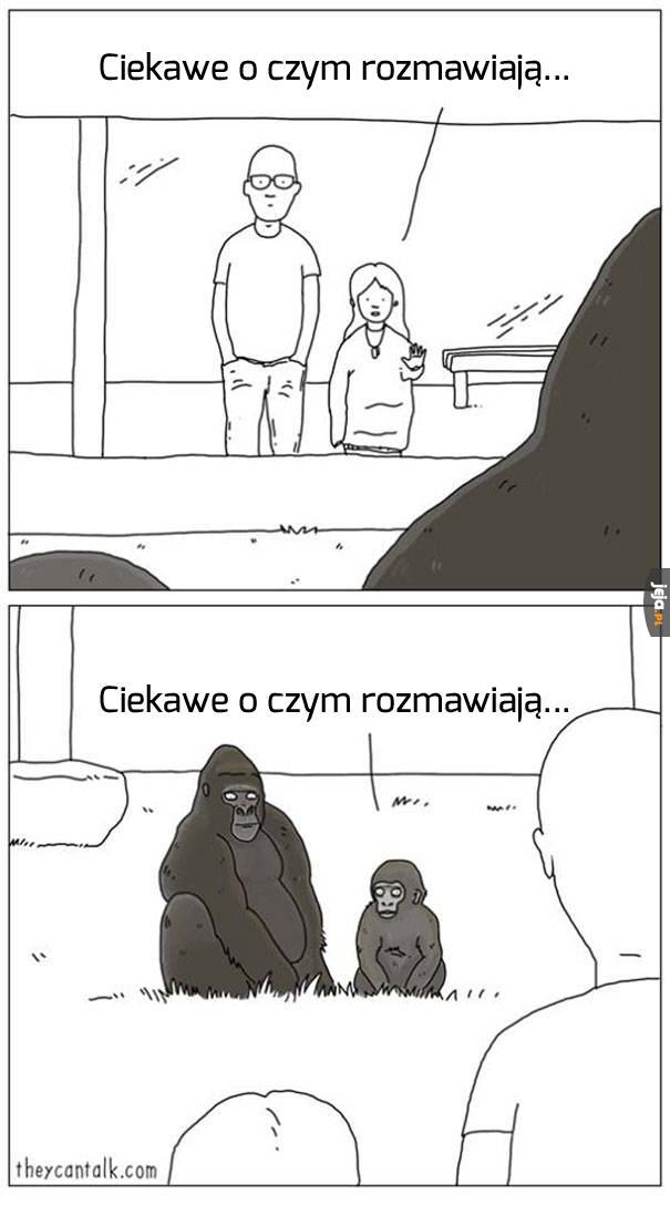 Ciekawe...