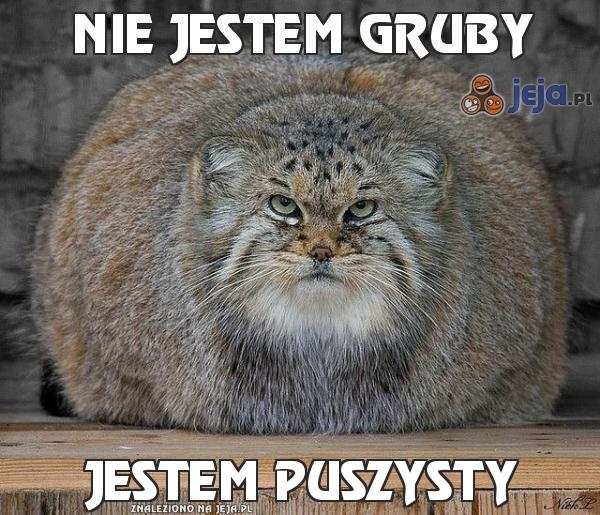 Nie jestem gruby