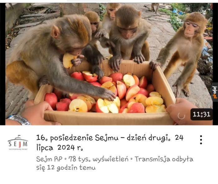 Małpiarnia