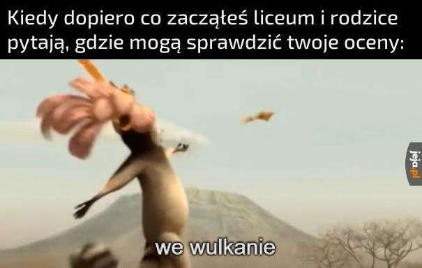 A tak serio to chyba bym im nie powiedział xD