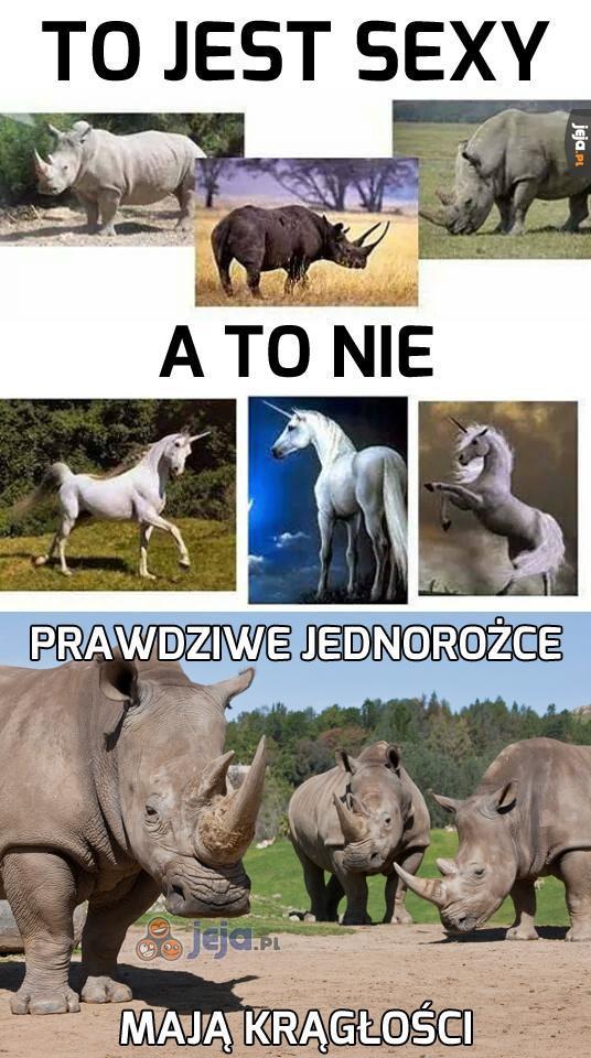 Prawdziwe jednorożce!