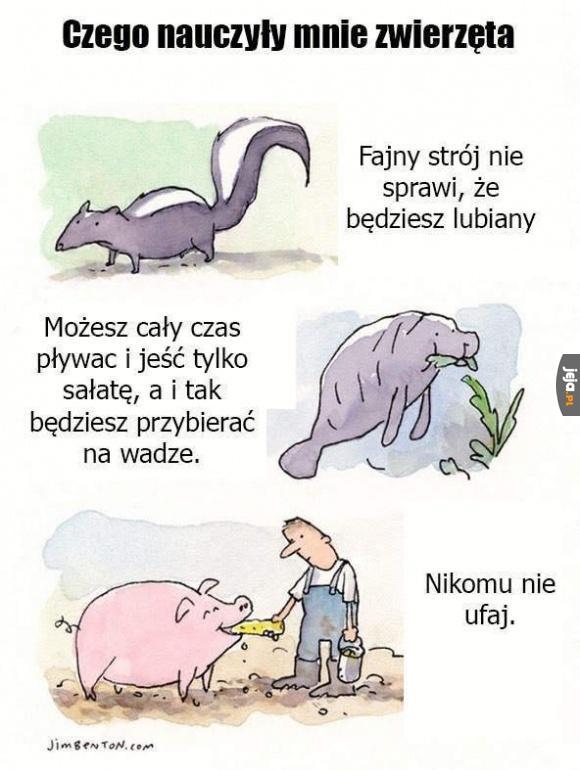 Czego nauczyły mnie zwierzęta