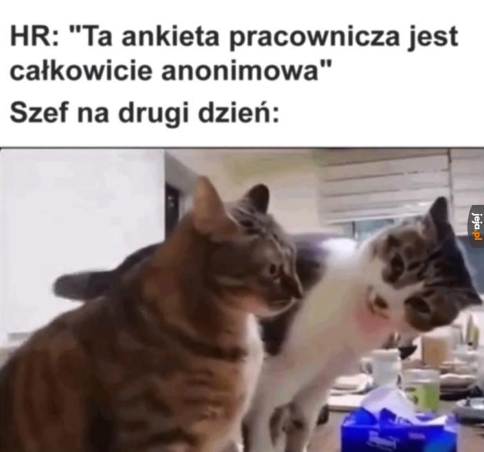 Mam pewne wątpliwości