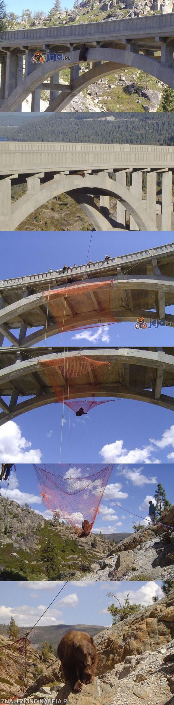 Rzadko spotykana akcja ratunkowa