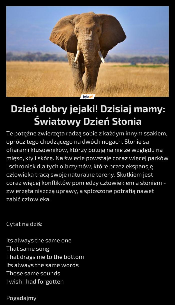 Dzień dobry jejaki! Dzisiaj mamy: Światowy Dzień Słonia