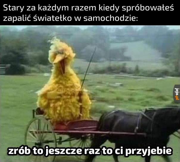 Święta zasada, synek