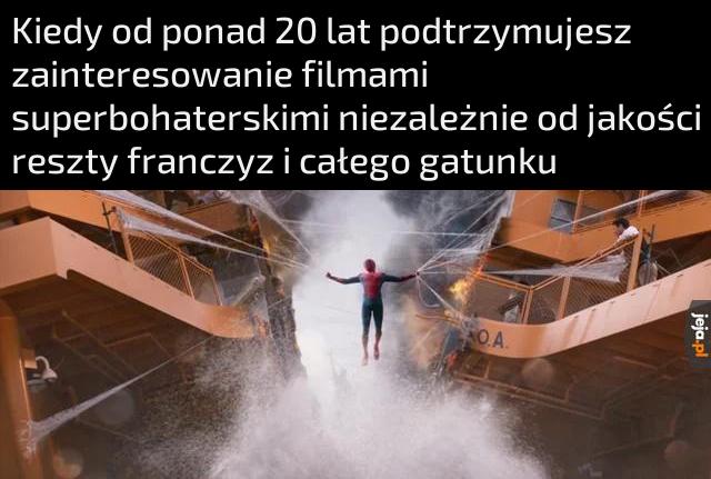 Zawsze będzie ten pajączek w kącie