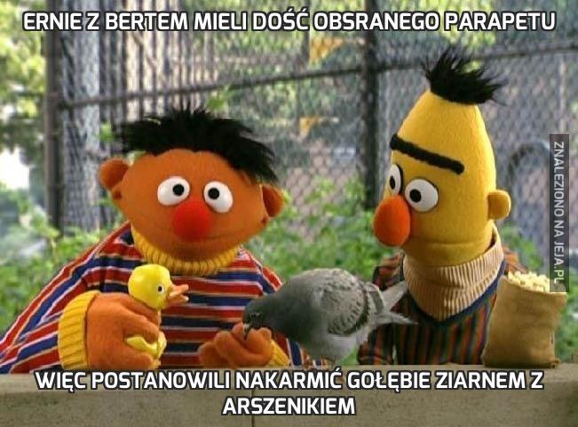 Ernie z Bertem mieli dość obsranego parapetu
