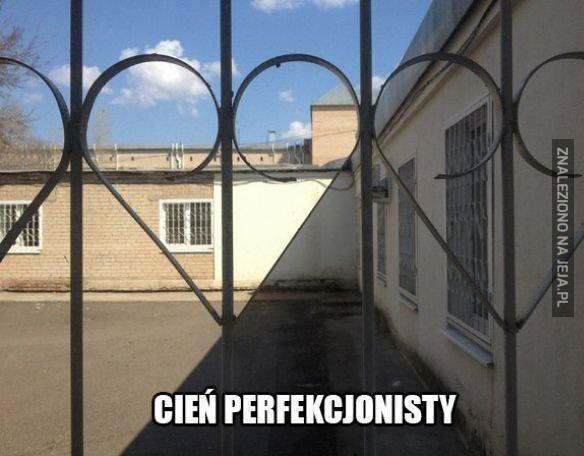 Cień perfekcjonisty