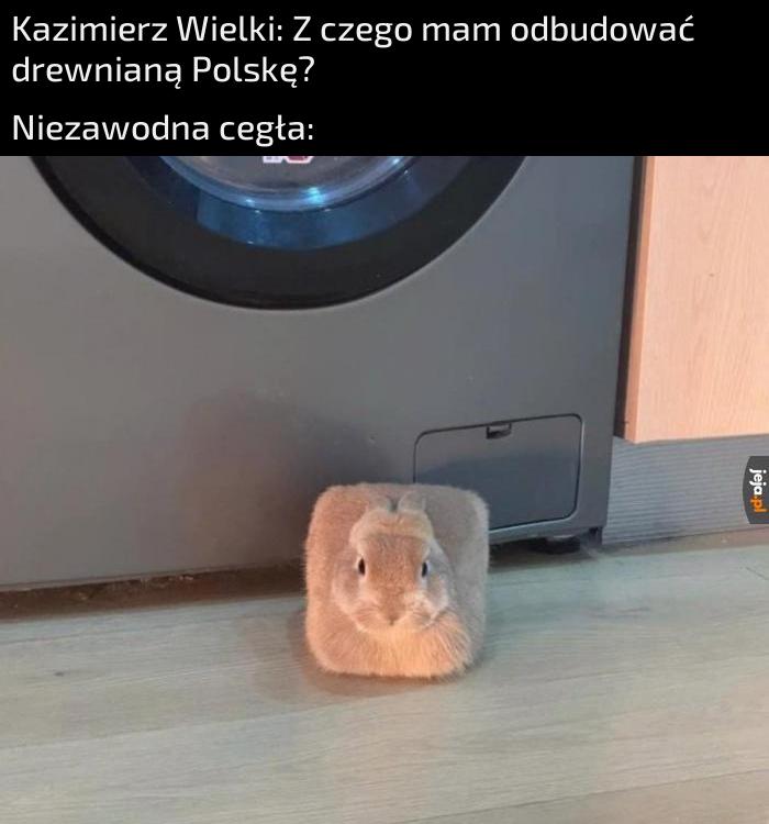 Trzecia świnka