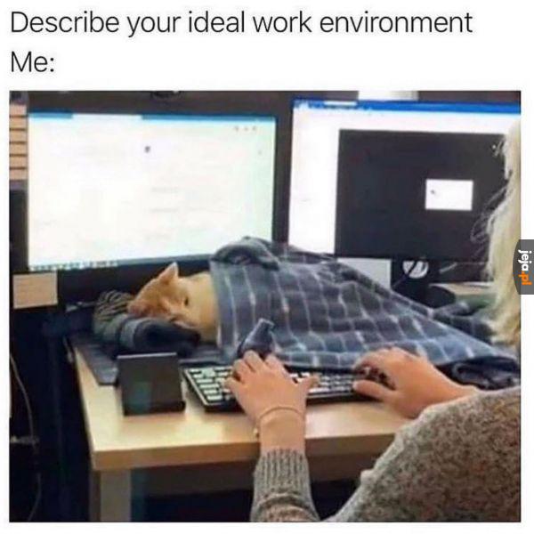 Idealne środowisko pracy