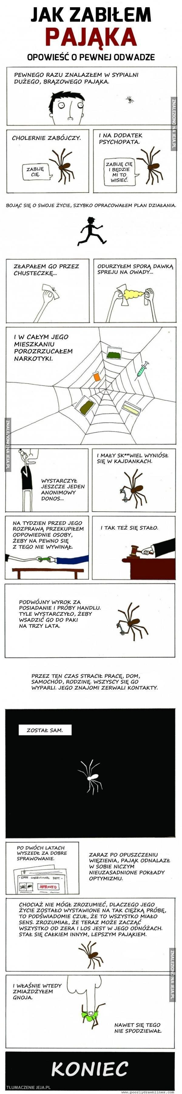 Historia zabójstwa pewnego pająka
