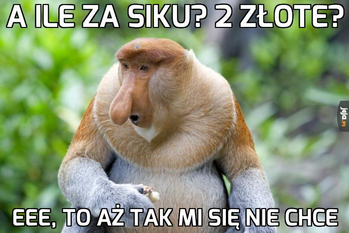 Za drogo jak za sikanie