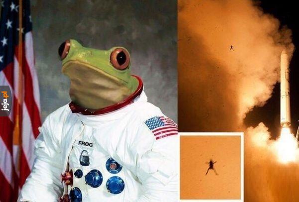 Pepe w kosmosie