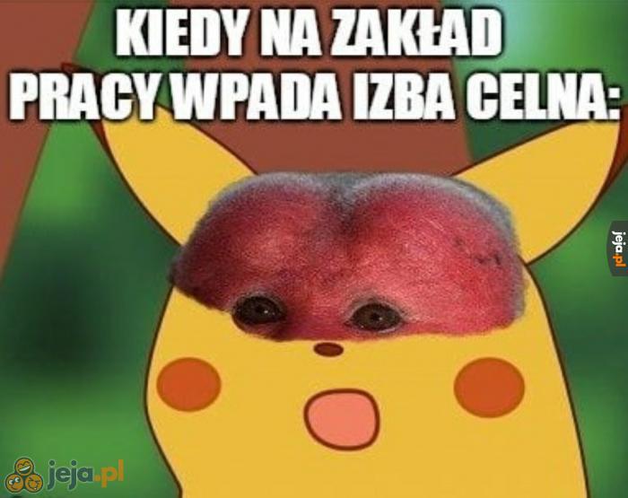 Pozamiatane