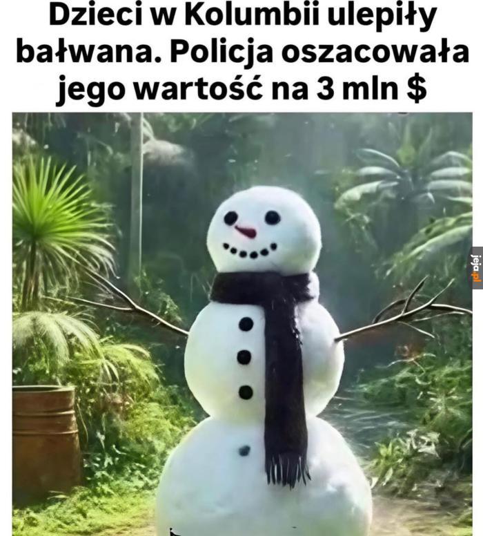 Kosztowna rzecz