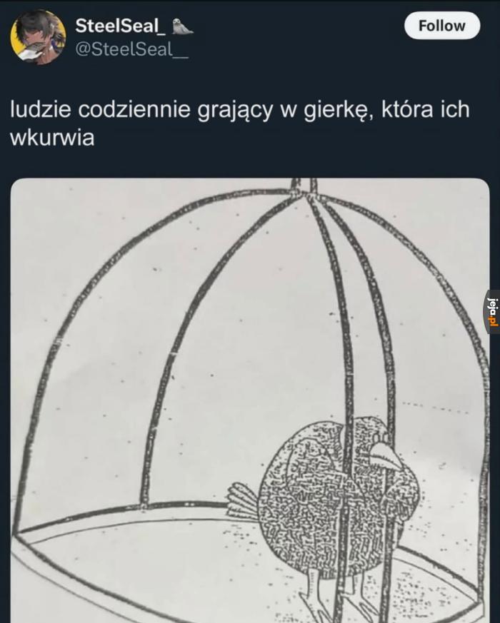 Gracze zrozumieją