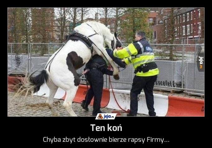 Ten koń