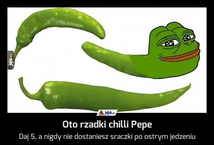 Oto rzadki chilli Pepe