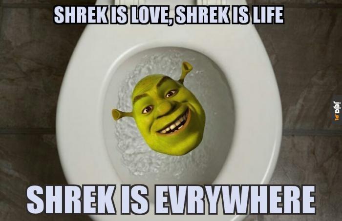 Shrek jest wszędzie