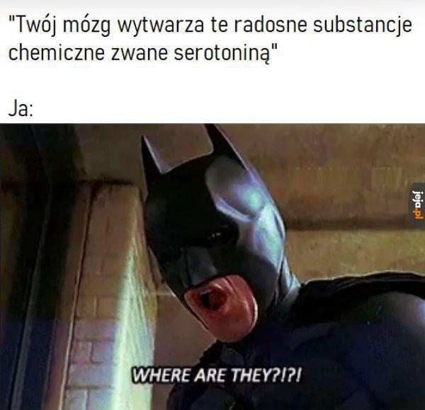 Gdzie one się podziały?