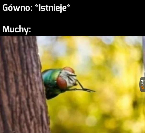 A potem na was siadają.