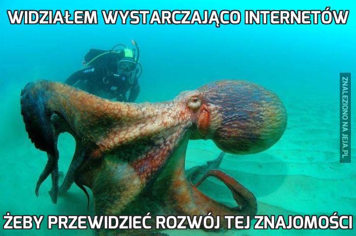 Widziałem wystarczająco internetów